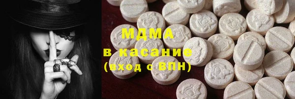 индика Алексин