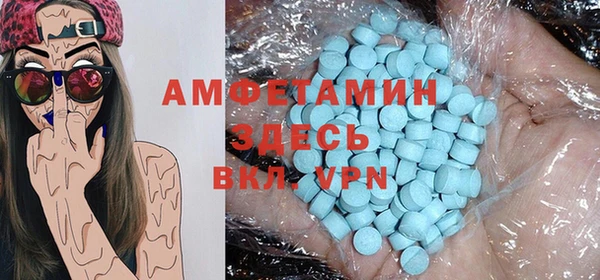 индика Алексин