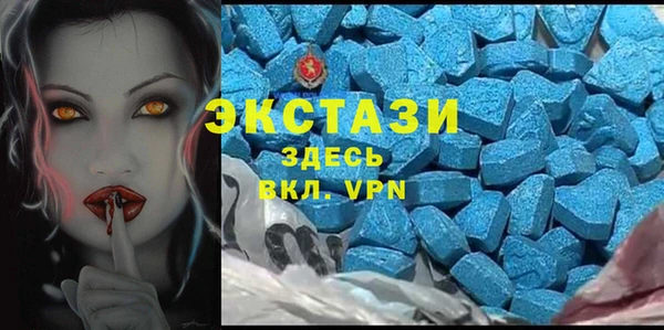 индика Алексин
