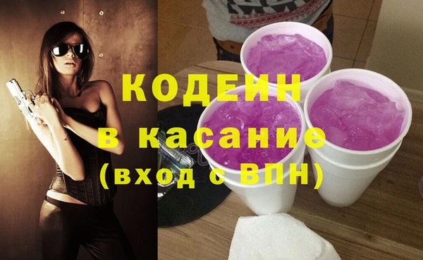 индика Алексин