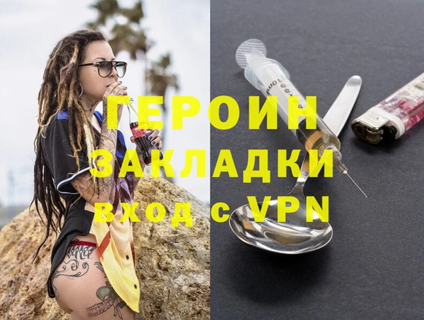 индика Алексин