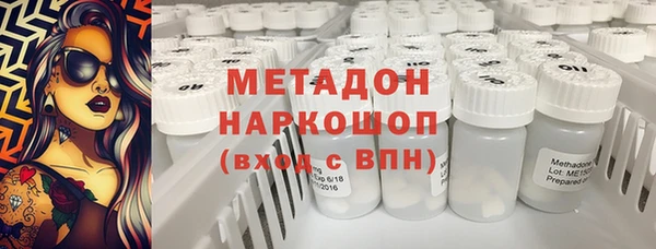 индика Алексин