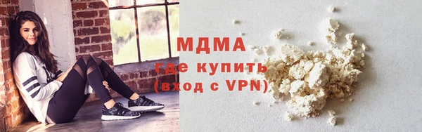 индика Алексин